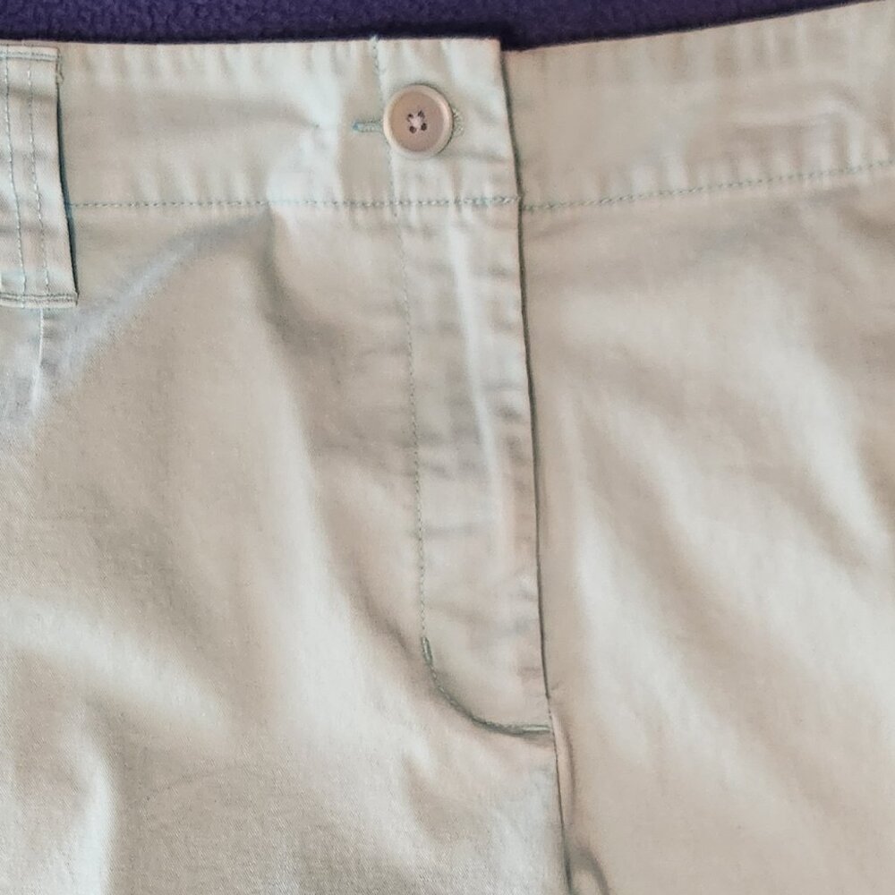Women's (plus size) shorts SIZE: 20W, TALBOTS - Picture 3 of 5